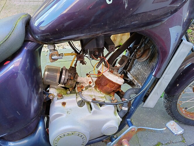 IMG_20230130_132147_HDR