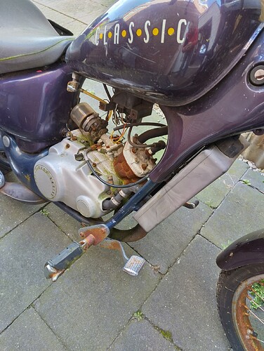 IMG_20230130_132141_HDR