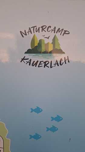 IMG-20260813-WA0000