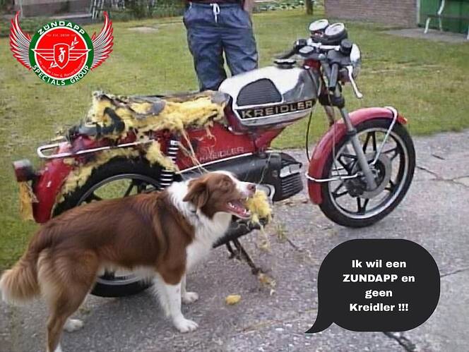 FB_IMG_1774610690299